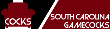 Dual South Carolina Banner